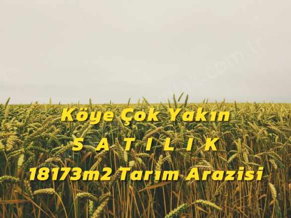 Eskişehir Sivrihisar Yenice De Satılık Tarla 18173M2m Tarım Arazisi Mah