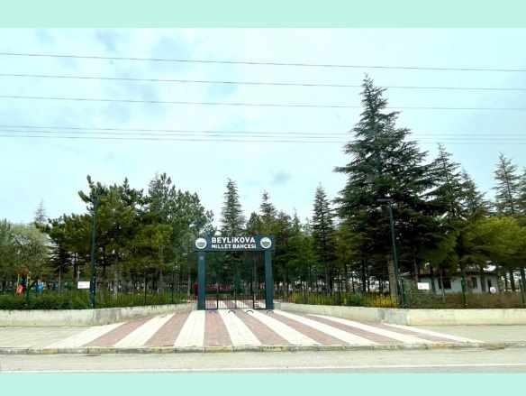 Eskişehir Beylikova Merkezde Satılık Arsa 2 5 Kat %40 imarlı 283M2 Yunus Emre Mah