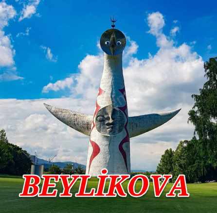 Eskişehir Beylikova Akköprüde Acil Satılık Tarla 23 Dönüm Akköprü Mah