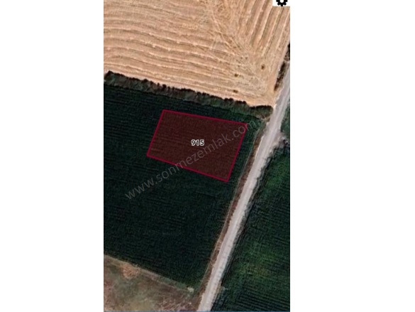 Akköprü Mah. Beylikova Satılık Arsa |  1012M2 1.050.000Tl Resim-5