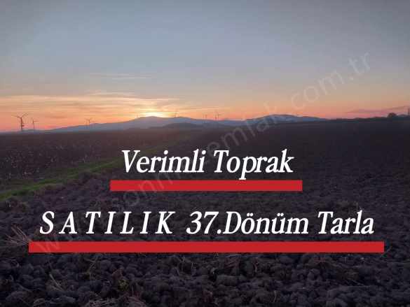 izmir Bergama Ovacıkta Satılık Tarla Tarıma Uygun Verimlitoprak Otuzyedi Dönüm Ovacık Mah