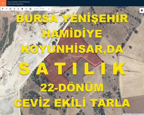 Bursa Yenişehir Hamidiye De Takasa Açık Satılık Tarla 22 Dönüm Ceviz Ekili Koyunhisar Mah