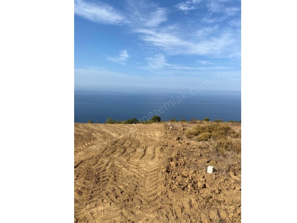 Liman Mah-Esenköy Köyü. Çınarcık Satılık Arsa |  458M2 5.900.000Tl İmarlı  Resim-2