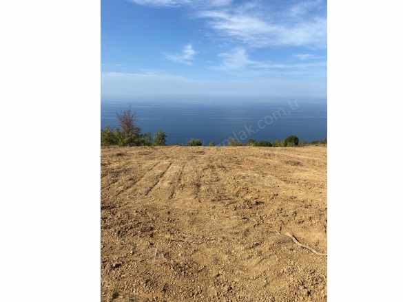 Yalova Çınacık Esenköyde Full Deniz Manzaralı Satılık Arsa 458M2 Çınarcık Liman Mah-Esenköy Köyü