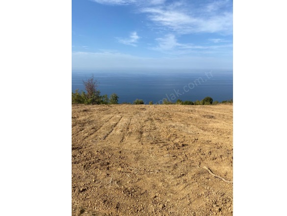 Liman Mah-Esenköy Köyü. Çınarcık Satılık Arsa |  458M2 5.900.000Tl İmarlı  Resim-3