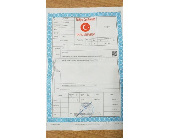 Liman Mah-Esenköy Köyü. Çınarcık Satılık Arsa |  458M2 5.900.000Tl İmarlı  Resim-4