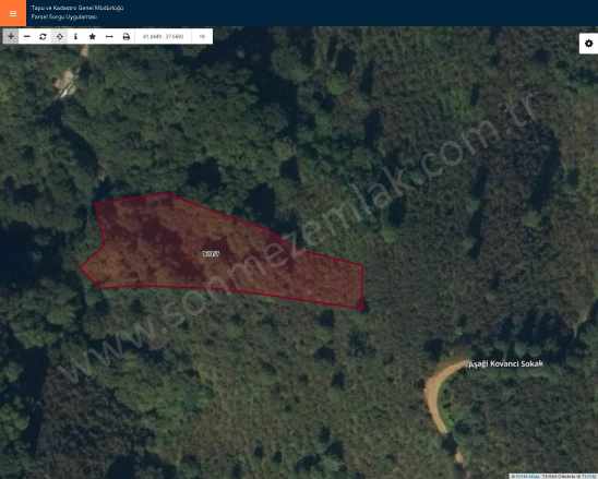 Ordu Perşembe Kutlucada Fırsat Takasa Açık Satılık Bağ 3540M2 Fındık Bahçesi Kuyluca Mah