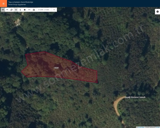 Kuyluca Mah. Perşembe Satılık Bağ |  3540M2 450.000Tl Resim-3