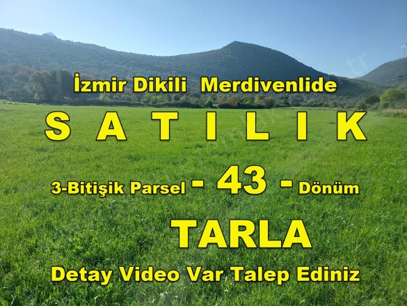 Merdivenli Mah. Dikili Satılık Tarla |  43000M2 24.000.000Tl Resim-3