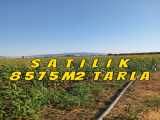 İzmir Dikili Kabakumda Sahile Yakın Satılık Tarla 8575M2 Kabakum Mah