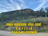 İzmir Dikili Kıratlıda Yola Sıfır Deniz Manzaralı Satılık Tarla 3160M2 Zeytinlik Kıratlı Mah 3156 M2