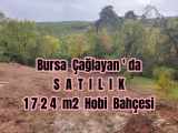 Bursa Çağlayanda Komisyonsuz Satılık Tarla 1724M2 Hobi Bahçesi Osmangazi Çağlayan Mah