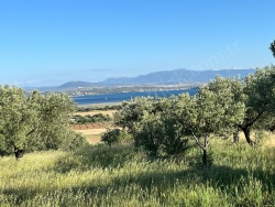 Bergama Zeytindağ Mah. Satılık Tarla 34000 M2