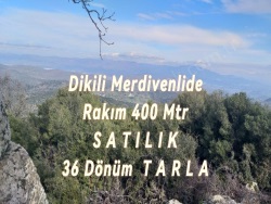 Dikili Merdivenli Mah. Satılık Tarla 36000 M2
