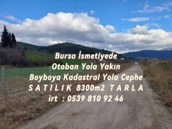 Osmangazi İsmetiye Mah. Satılık Tarla 8300 M2