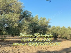 Kırkağaç Bakır Mah. Satılık Tarla 2830 M2