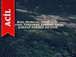 Mudurnu Kayapınar Mah-Gökören Köyü. Satılık Tarla 5000 M2