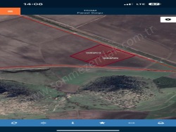 Dikili Salimbey Mah. Satılık Tarla 43000 M2