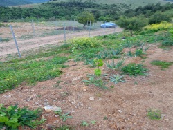 Osmangazi Avdancık Mah. Satılık Tarla 2700 M2