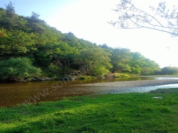 Sındırgı Osmanlar Mah. Satılık Tarla 14570 M2