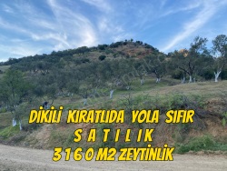 Dikili Kıratlı Mah. Satılık Tarla 3156 M2