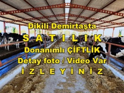 Dikili Demirtaş Mah. Satılık Tarla 14850 M2