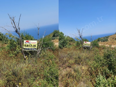Yalova Çınacık Esenköyde Full Deniz Manzaralı Takasa Açık Satılık Arsa 458M2 Çınarcık Atakent Mah-Koru Köyü