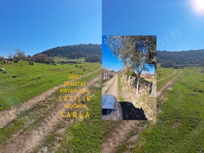 Dikili Demirtaş Ta Satılık Tarla Yaylımbesiciliğine Uygun 10 Dönüm Mah
