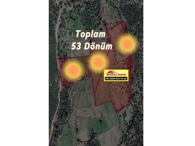 İzmir Dikili Merdivenli De Satılık Tarla 53 Dönüm Ve Zeytinlik Mah