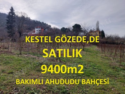 Bursa Kestel Gözede De Satılık Tarla Anayolacephe 9400M2 Ahududu Bahçesi Mah