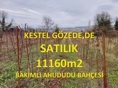 Bursa Kestel Gözede De Satılık Tarla Kadastralyolacephe 11160M2 Ahududu Bahçesi Mah