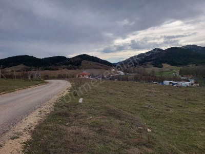 Bursa Gürsu Dışkaya Da Satılık Tarla Hobi Bahçelerine Yakın 16000M2 Dışkayaköyü Mah