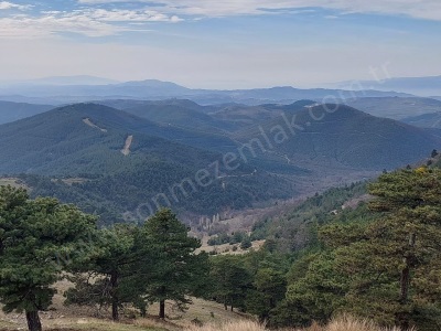 Bursa Gürsu Dışkaya Da Satılık Tarla İmara Yakın 4660M2 Dışkayaköyü Mah