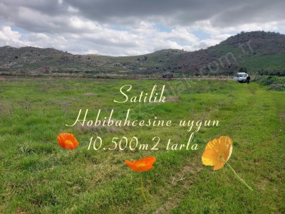 Dikili İsmetpaşa Da Hobibahçesi Ne Uygun Satılık Tarla 10 5Oo M2 Mah