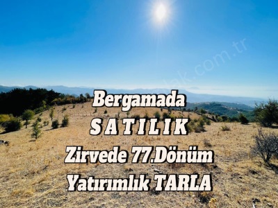 İzmir Bergamada Fırsat Yatırım Satılık Tarla 77 Dönüm Halilağalar Mah