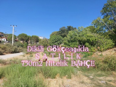 Dikili Gökçeağılda Satılık Tarla Köyiçi 750M2 Bahçe Gökçeağıl Mah