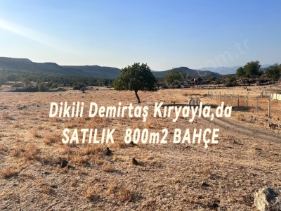 Dikili Demirtaş Kıryaylada Satılık Tarla 800M2 Bağbahçe Mah