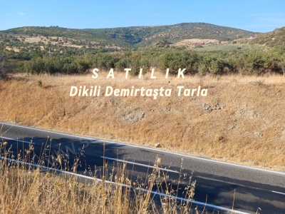 Dikili Demirtaş Ta Satılık Tarla Anayola Cephe 3120M2 Mah