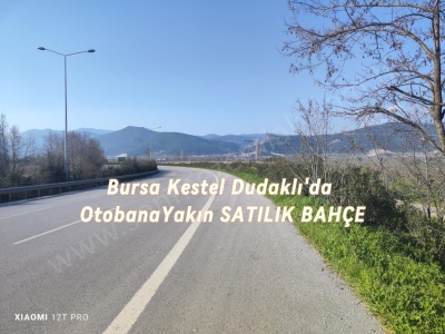 Bursa Kestel Dudaklıda Satılık Tarla 2280M2 Bahçe Dudaklı Mah