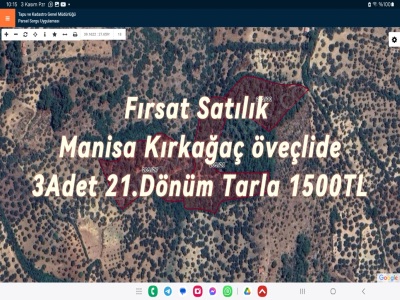 Manisa Kırkağaç Öveçlide Satılık Tarla Odunakömüre Uygun 3 Adet 21 Dönüm Öveçli Mah