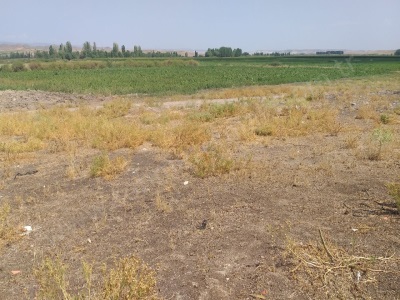 Eskişehir Beylikova Akköprü De Satılık Arsa Konut İmarlı 946M2 Mah