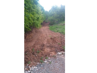 Kestel Lütfiye De Ahududu Ekili Satılık Tarla 1674 M2 Hobi Bahçesi Mah