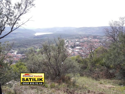 Bursa Mudanya Kaymakoba Da Acil Satılık Tarla Köyeyakın 673M2 Zeytinlik İrt:0535 558 39 80 Mah