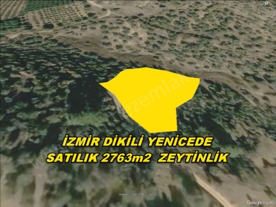 İzmir Dikili Yenice De Acil Satılık Tarla 2763M2 Zeytinlik Mah