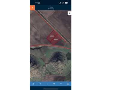 İzmir Dikili Salimbey Seralar Bölgesinde Satılık Tarla 43 Dönüm Mah