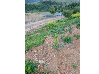 Bursa Osmangazi Avdancıkta Satılık Tarla 2700M2 Hisseli Hobibahçesi Avdancık Mah