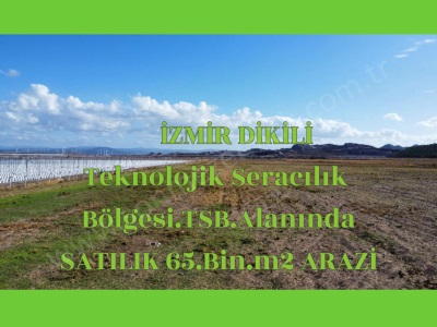 İzmir Dikili Seracılık _Tsb_ Bölgesinde Satılık Tarla 65_Bin_M2 Arazi İsmetpaşa Mah