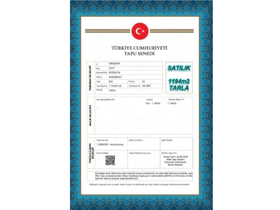 Eskişehir Alpu Büğdüz Mah De Fırsat Satılık Tarla 1194M2