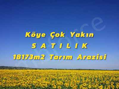 Field For Sale in  Turkey, Eskisehir, Sivrihisar, Yenice neighborhood , 18173 m2