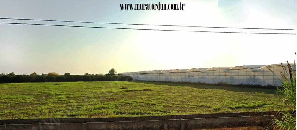 7) 0 60 imarlı Manavgat 68000 M2 Satılık Konut Arsası Muz Serası Ticari Arsa Taşağıl Mah